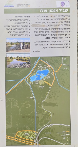 קובץ:2025-02-28T10 15 33.209202693202.jpg