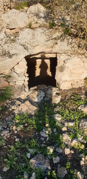 קובץ:2025-03-01T16 43 35.442676994944.jpg