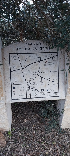 קובץ:2025-03-03T17 26 22.834793722775.jpg