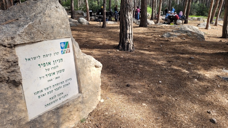 קובץ:2025-03-04T09 32 30.765985999239.jpg