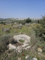 תמונה ממוזערת לגרסה מתאריך 08:26, 6 במרץ 2025