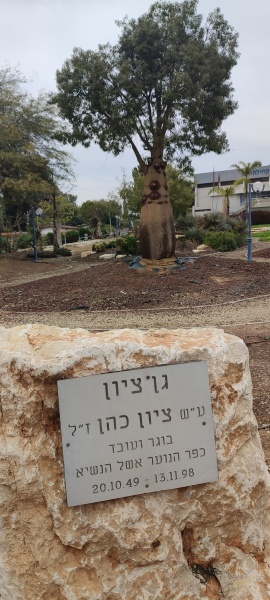 קובץ:2025-03-07T11 20 23.182050908799.jpg