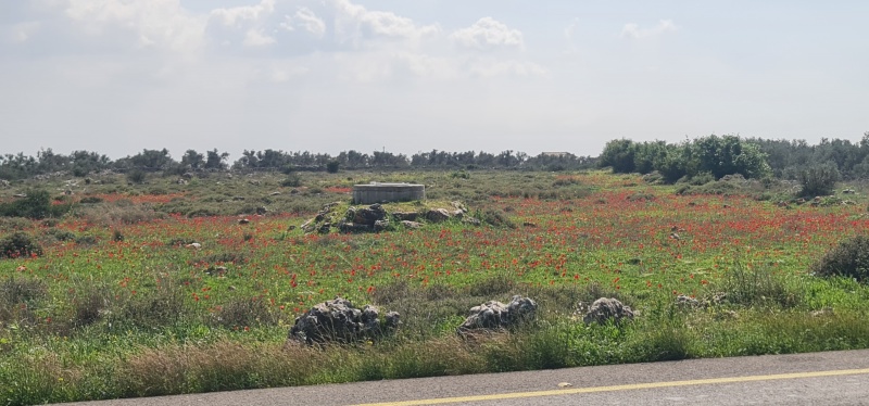 קובץ:2025-03-08T12 59 48.853605273387.jpg