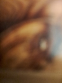 2025-03-10T20 39 07.236073406326.jpg