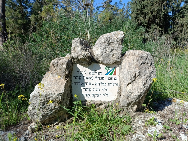 קובץ:2025-03-12T09 09 41.435237516232.jpg