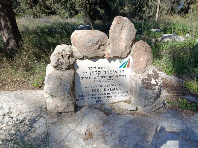 קובץ:2025-03-12T09 12 23.075448546203.jpg