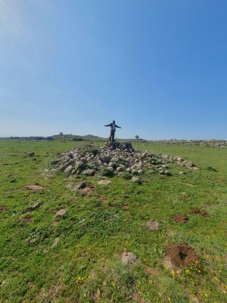 קובץ:2025-03-12T14 09 12.755726866169.jpg