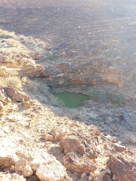 קובץ:2025-03-12T16 31 30.515432603865.jpg