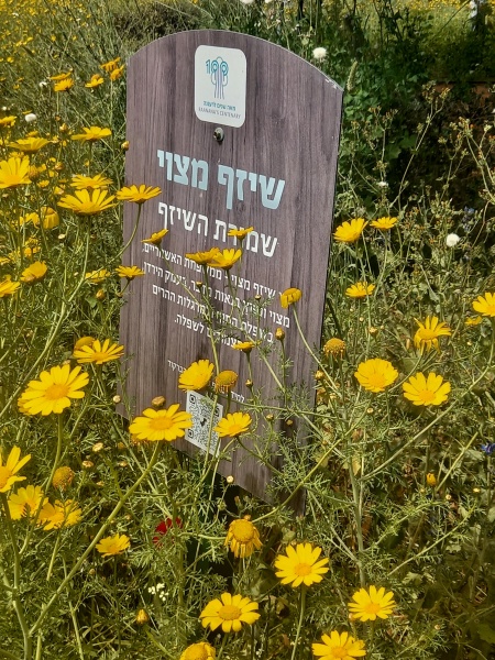 קובץ:2025-03-17T11 59 10.099005665916.jpg