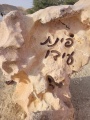 תמונה ממוזערת לגרסה מתאריך 10:49, 23 במרץ 2025