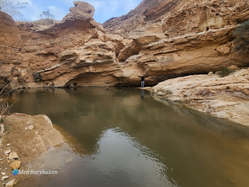 קובץ:2025-03-20T16 55 18.144352576299.jpg