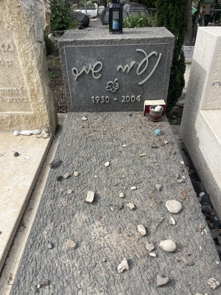 קובץ:2025-03-22T14 13 35.644825379489.jpg