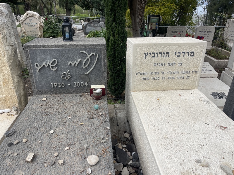 קובץ:2025-03-22T14 13 50.676892391411.jpg