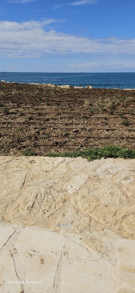קובץ:2025-03-22T14 14 23.097562475297.jpg