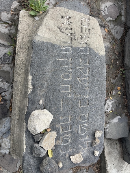קובץ:2025-03-22T14 17 36.920005130450.jpg