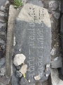 תמונה ממוזערת לגרסה מתאריך 12:00, 22 במרץ 2025