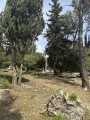 תמונה ממוזערת לגרסה מתאריך 10:40, 25 במרץ 2025