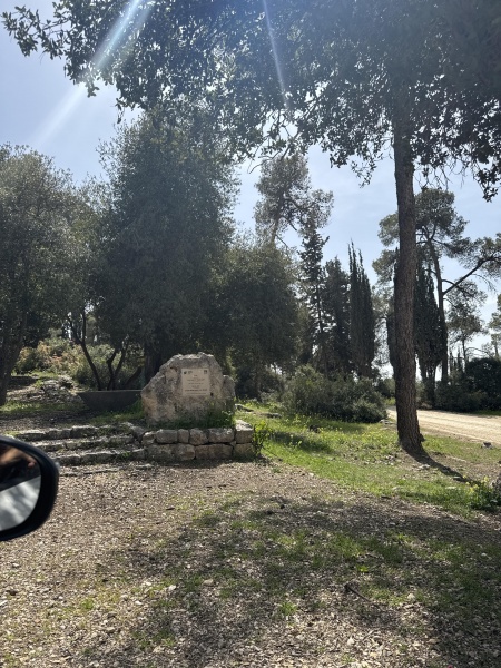 קובץ:2025-03-25T13 00 31.465409343400.jpg