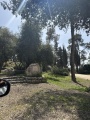 תמונה ממוזערת לגרסה מתאריך 10:41, 25 במרץ 2025
