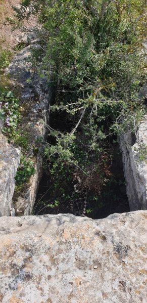 קובץ:2025-03-26T13 48 25.463552739356.jpg
