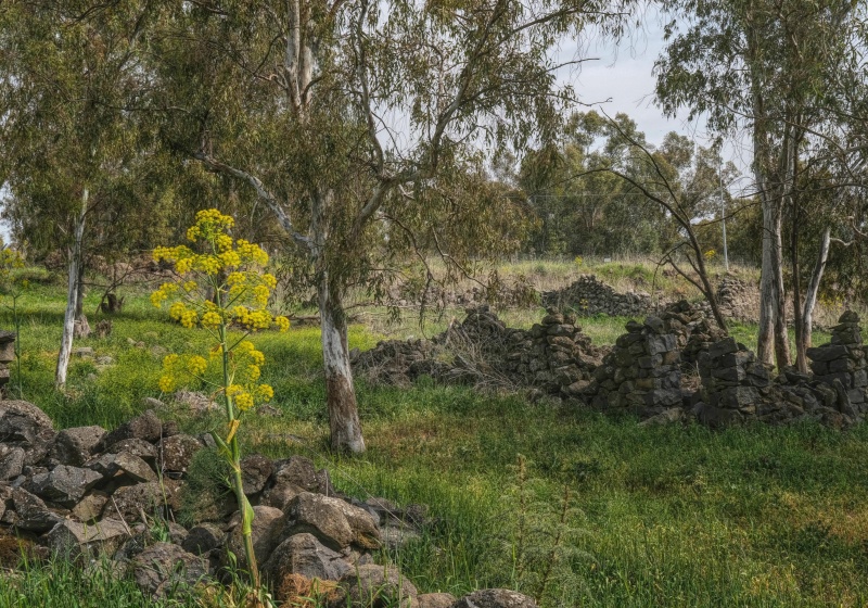קובץ:2025-03-26T16 26 56.601640311509.jpg