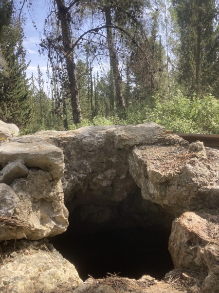 קובץ:2025-03-26T22 53 32.590117649101.jpg