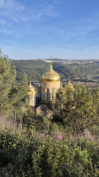 קובץ:2025-03-27T06 43 07.747043566776.jpg