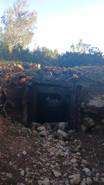 קובץ:2025-03-27T16 45 26.231835317177.jpg