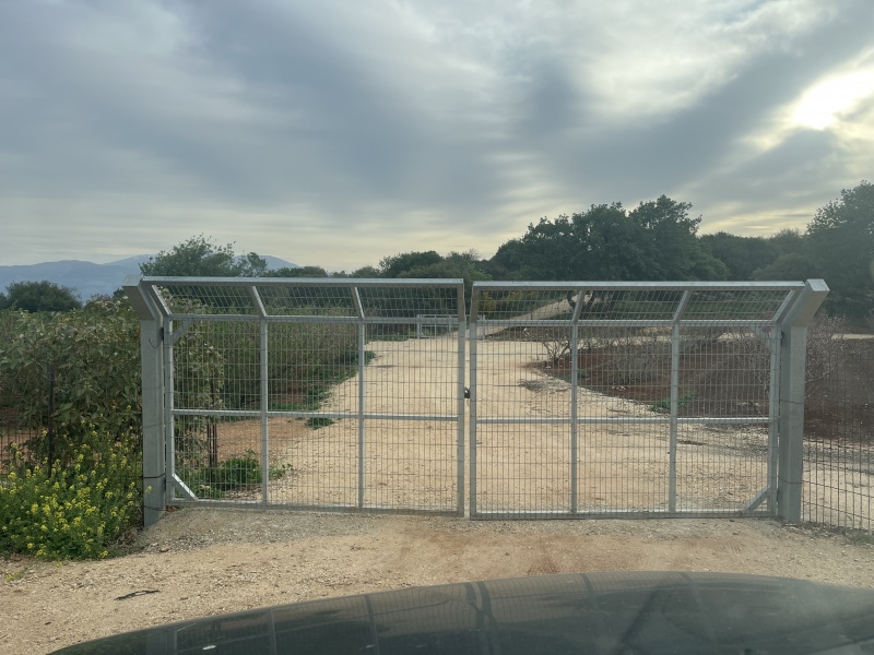 קובץ:2025-03-28T07 36 12.844059865820.jpg