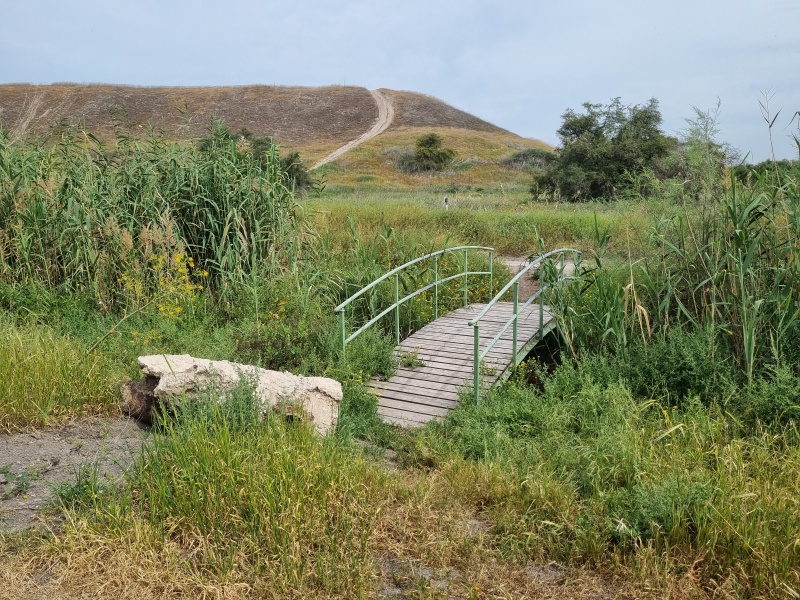 קובץ:2025-03-28T10 03 06.060945956772.jpg