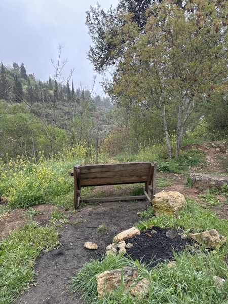 קובץ:2025-03-29T11 12 31.328548804998.jpg