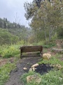 תמונה ממוזערת לגרסה מתאריך 07:53, 29 במרץ 2025