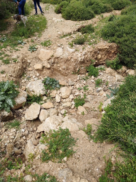 קובץ:2025-03-29T13 14 59.849010175496.jpg
