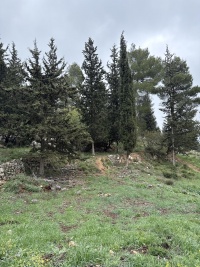 2025-03-29T13 28 17.437613911592.jpg