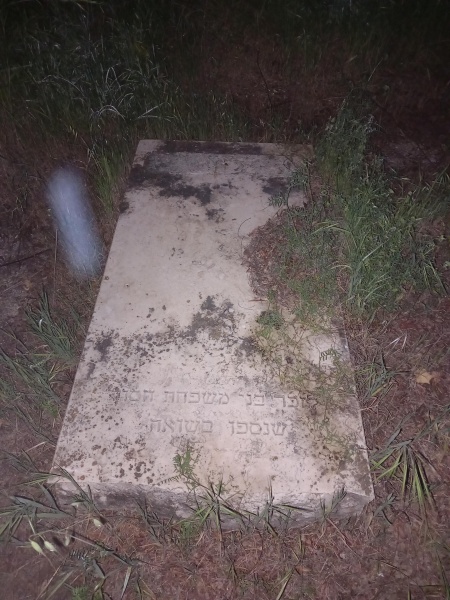 קובץ:2025-03-31T06 01 23.791138886009.jpg