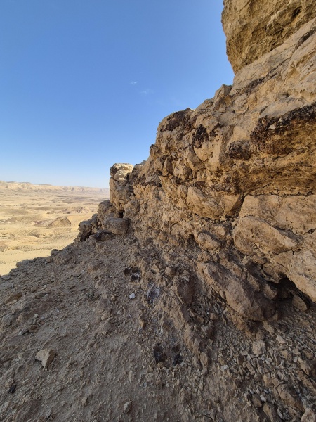 קובץ:2025-03-31T09 31 09.737629175715.jpg