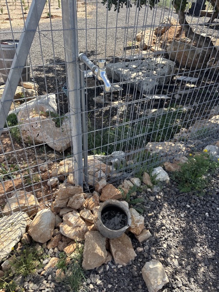 קובץ:2025-03-31T14 19 26.967181728932.jpg
