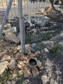 תמונה ממוזערת לגרסה מתאריך 11:53, 2 באפריל 2025