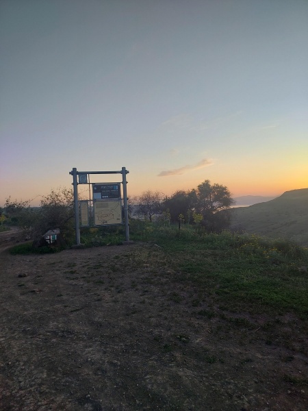 קובץ:2025-03-31T18 57 40.863888747271.jpg