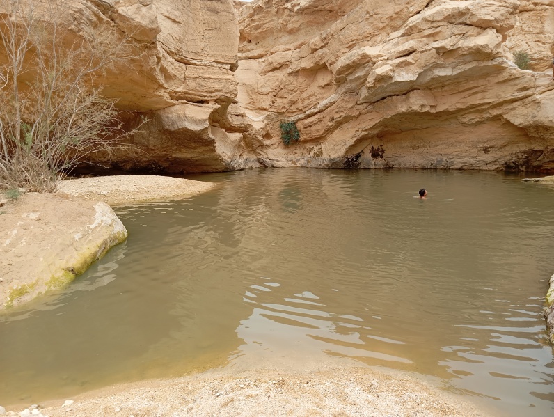 קובץ:2025-04-01T13 44 40.971113667798.jpg