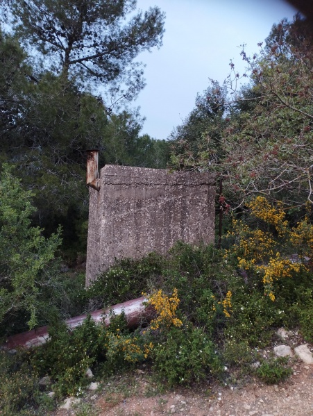 קובץ:2025-04-01T18 42 58.304471509327.jpg