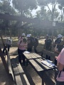 תמונה ממוזערת לגרסה מתאריך 06:56, 2 באפריל 2025