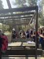 תמונה ממוזערת לגרסה מתאריך 06:55, 2 באפריל 2025