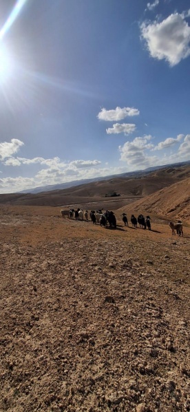 קובץ:2025-04-02T13 28 19.084429586494.jpg