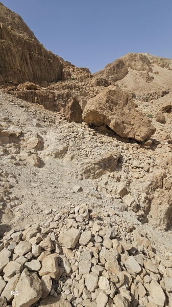 קובץ:2025-04-02T13 38 45.193583691185.jpg