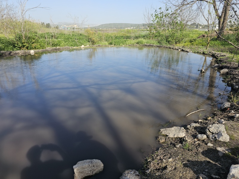קובץ:2025-04-02T16 07 21.831637533110.jpg