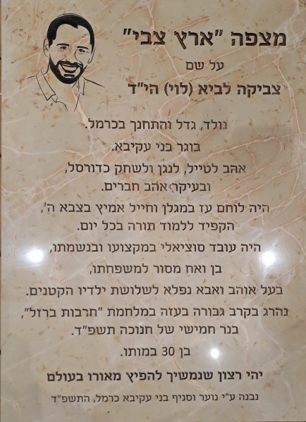 קובץ:2025-04-02T20 15 45.026560971422.jpg