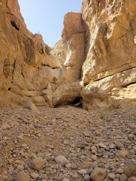 קובץ:2025-04-03T10 17 34.840719656748.jpg