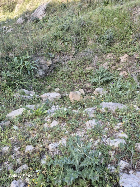 קובץ:2025-04-04T08 00 44.450235366919.jpg