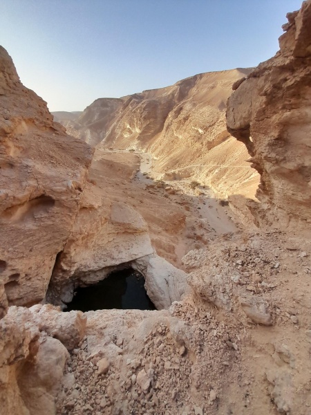 קובץ:2025-04-04T08 02 21.917253816078.jpg